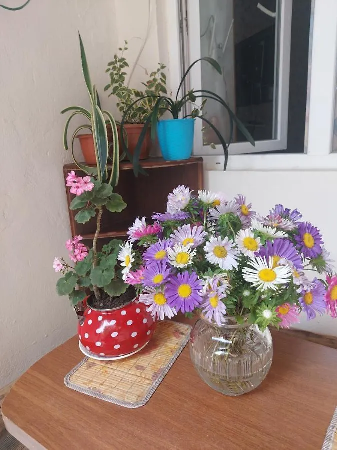 Appartement Malu à Tbilissi